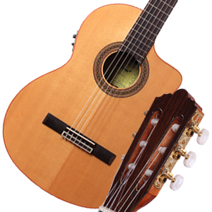 山东劳立斯世正乐器有限公司 吉他产品 富尔肯原声 FCG600CE-NT 